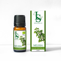 Bio-Melissenöl | Reines bulgarisches Melissenöl (Melissa officinalis) 10 ml.